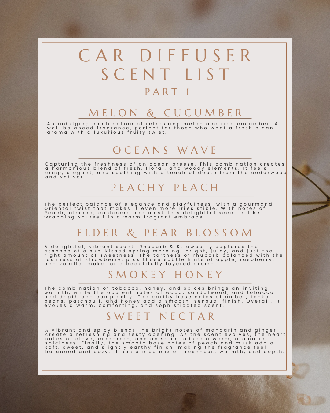 Car Diffusers - Clip on diffuser - Various Scents