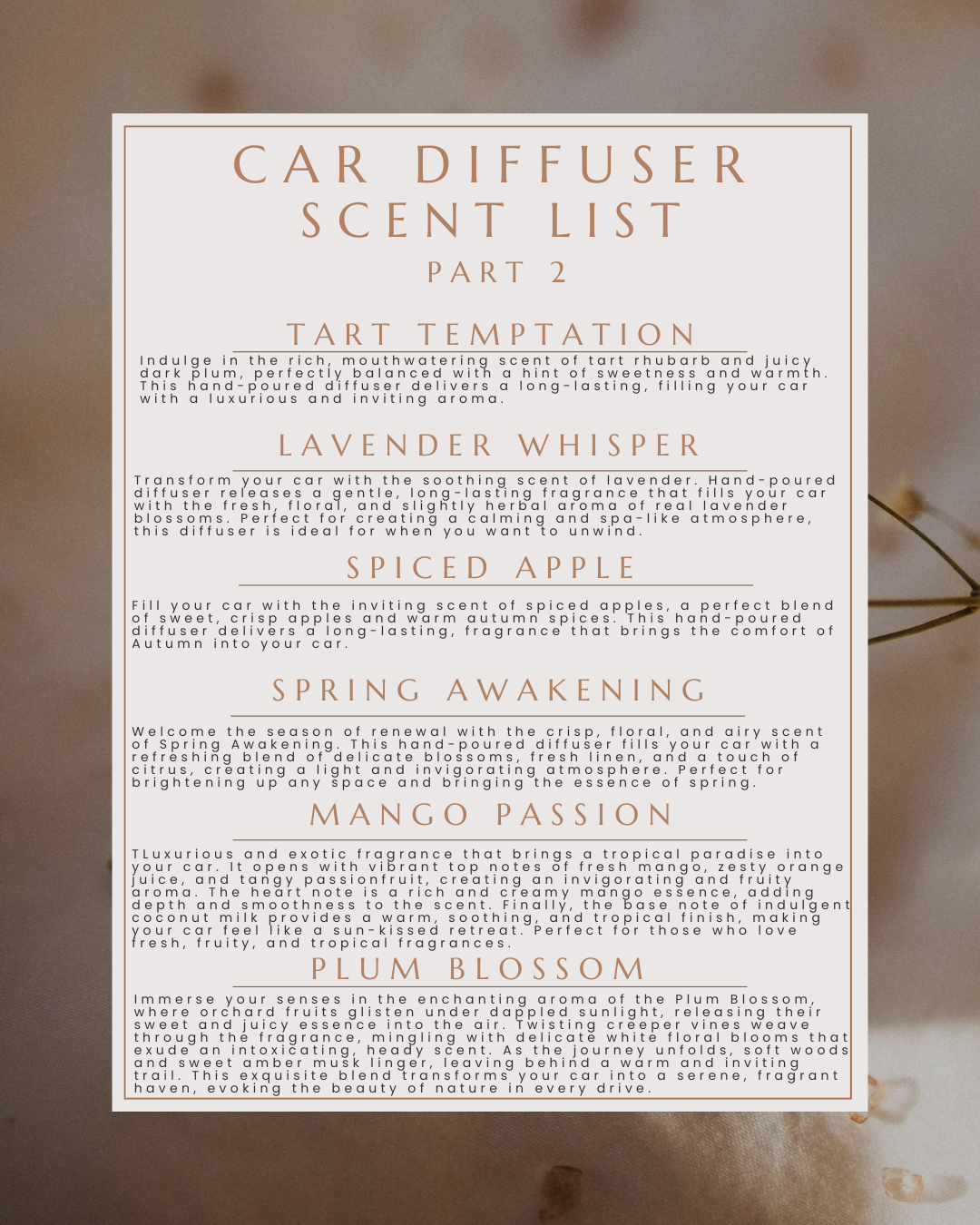 Car Diffusers - Clip on diffuser - Various Scents