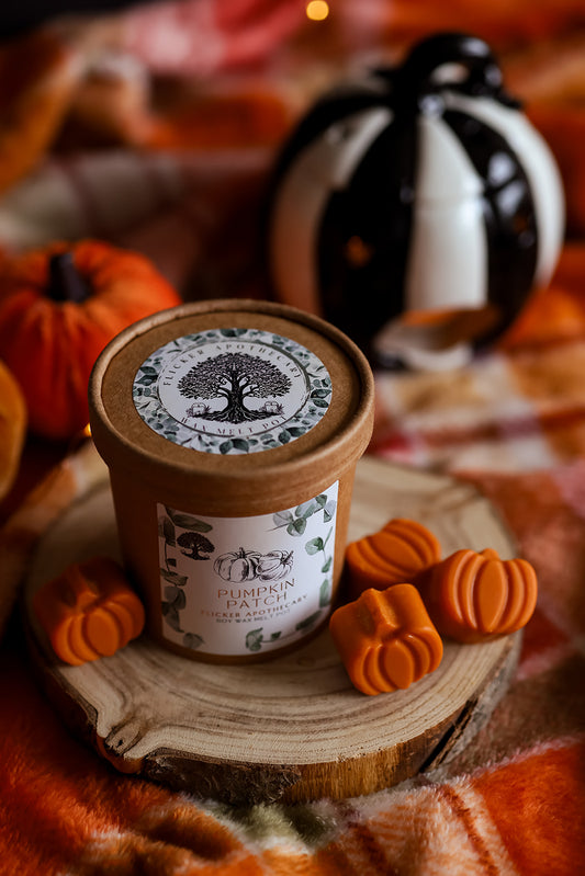Pumpkin Patch Wax Melt Pot – 150g Soy Wax Melts in Reusable Muslin Pouch | Autumnal Scent